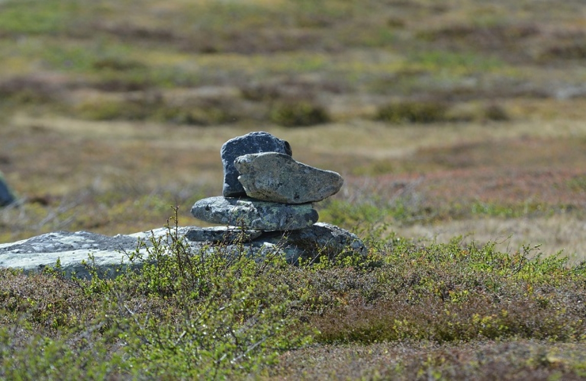 Δασικοί Χάρτες: ερμηνεία και υποβολή αντιρρήσεων