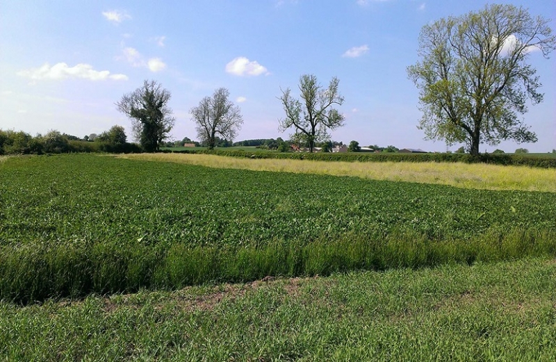 Στήριξη για νέες συμμετοχές σε Συστήματα Ποιότητας