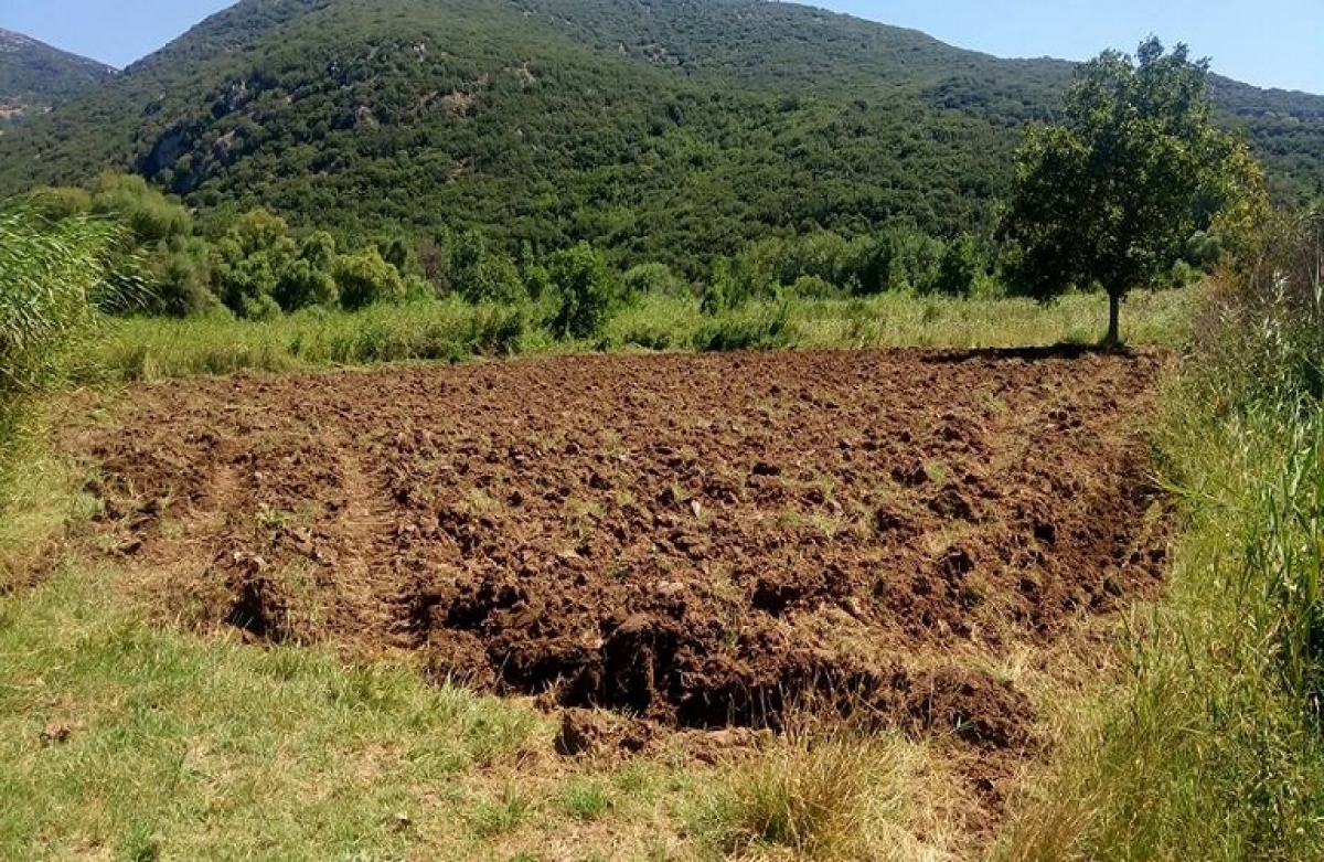 myProperty: Αγοραπωλησία ακινήτου ψηφιακά σε 9 βήματα