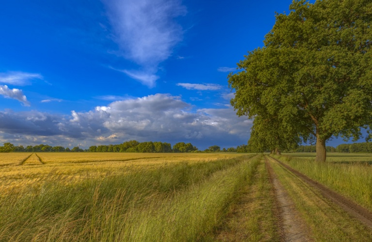 Όσα συζήτησαν οι Υπουργοί Γεωργίας