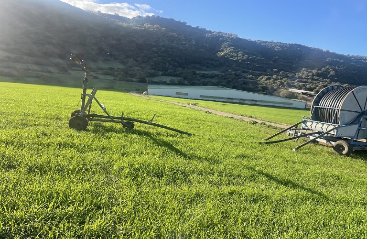 Η ρήτρα αναπροσαρμογής, σε απλά ελληνικά