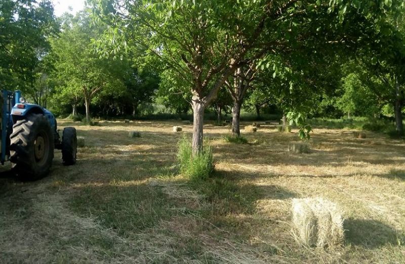 Η διαδικασία και οι προθεσμίες ενστάσεων για απονιτροποίηση, Κομφούζιο και ορυζώνες