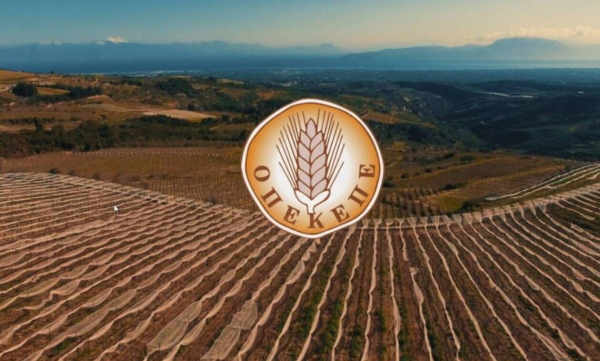 Ο κ. Δημήτρης Μελάς νέος πρόεδρος του ΟΠΕΚΕΠΕ