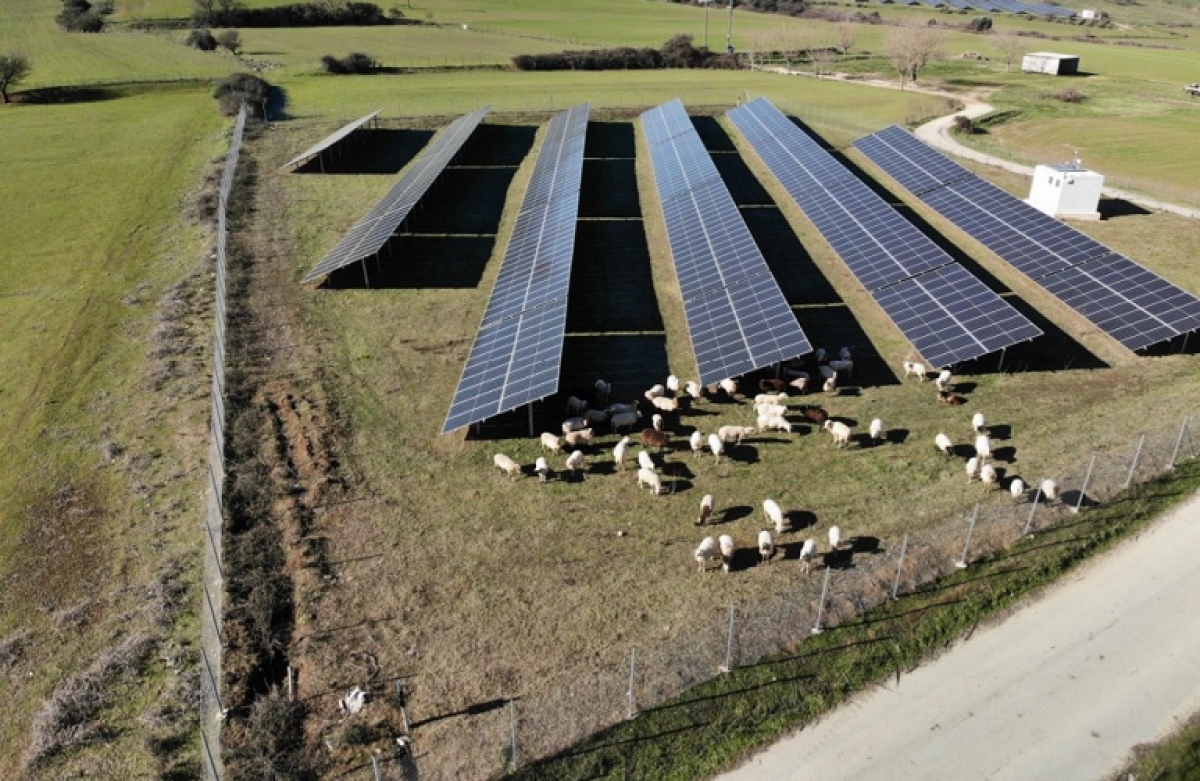 Η επιστολή της Ένωσης στο ΤΕΕ Ηλείας, από 26 Ιανουαρίου