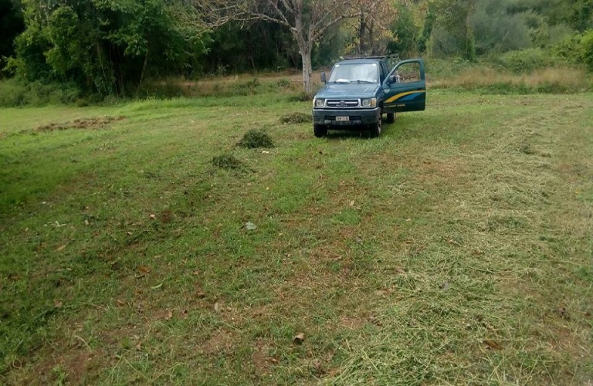Έως 26/2 η τροποποίηση δηλώσεων αγροτικού εισοδήματος