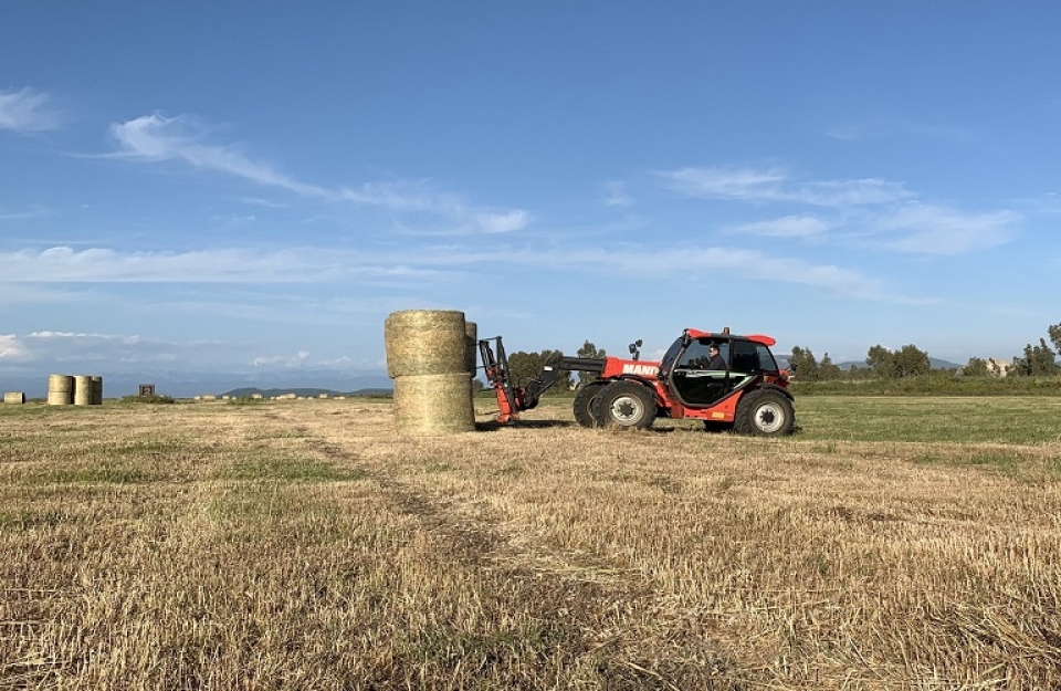 Τι αλλάζει στα Σχέδια Βελτίωσης