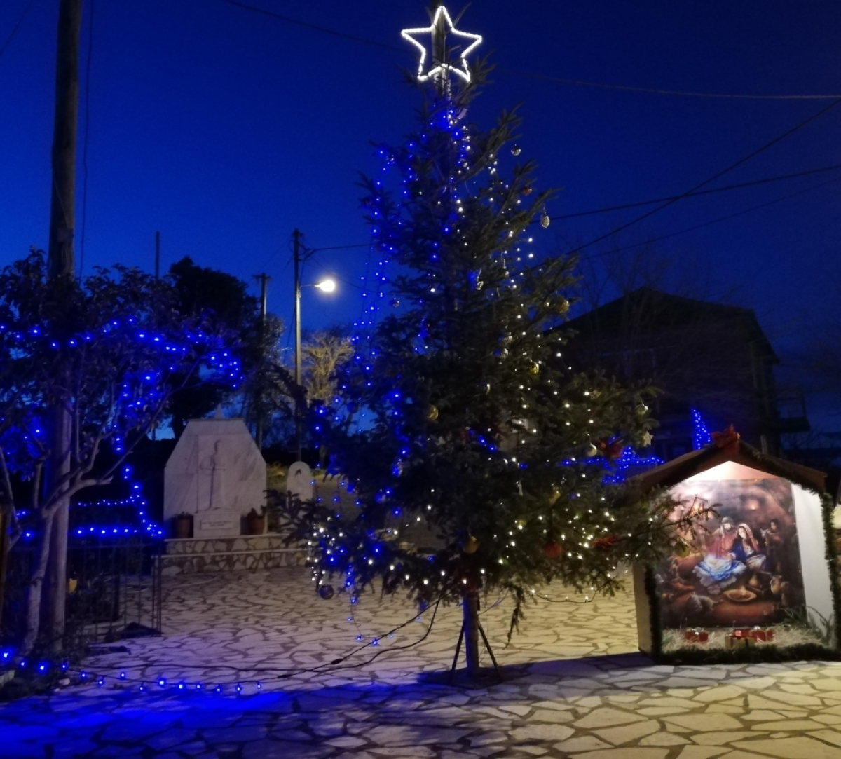 Πολιτιστικός Σύλλογος Σαργιάδας: &quot;Στολισμός και φωταγώγηση του χριστουγεννιάτικου δέντρου&quot;