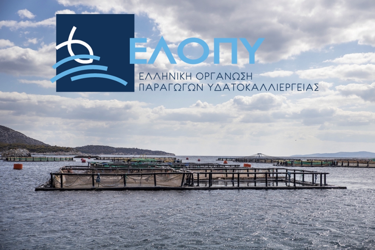 Η ΕΛΟΠΥ παρούσα στο 1ο Αραβο-Ελληνικό Συνέδριο Τροφίμων.