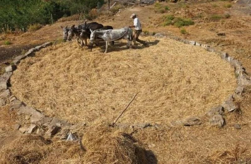 Τά&#039; πανε και τα συμφωνήσανε