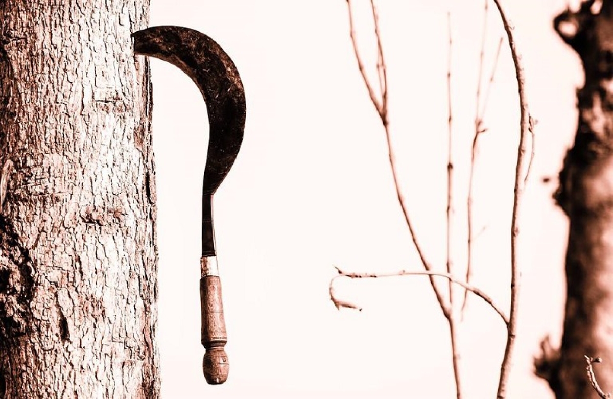 Έτσι θα κάνετε την καταγγελία σας στο ΥπΑΑΤ