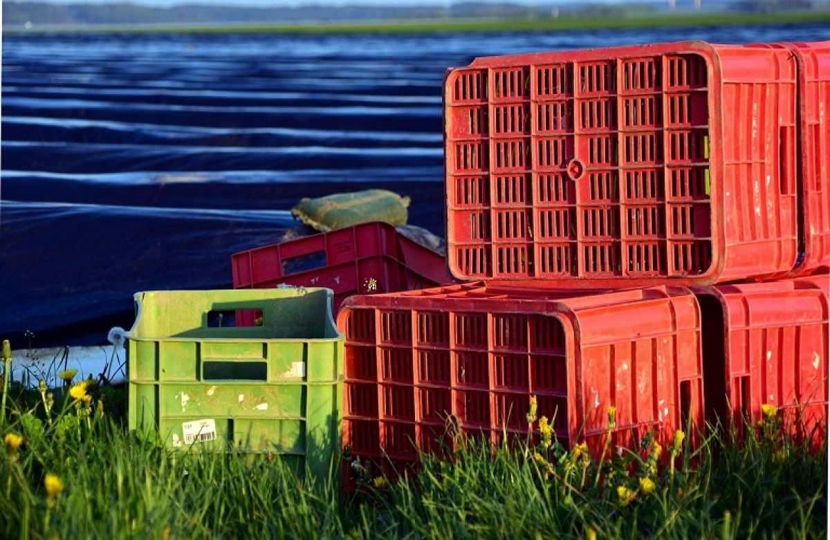 Οι άξονες που θα υποστηρίξουν την αγροτική παραγωγή