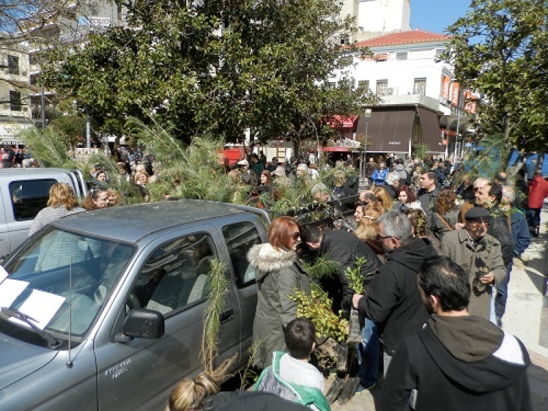 Διανομή δενδρυλλίων στην πλατεία Δημοκρατίας