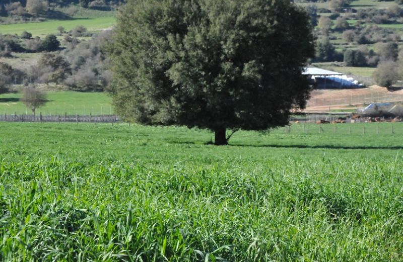«Άλμα Ανάπτυξης» για την Αιτωλοακαρνανία