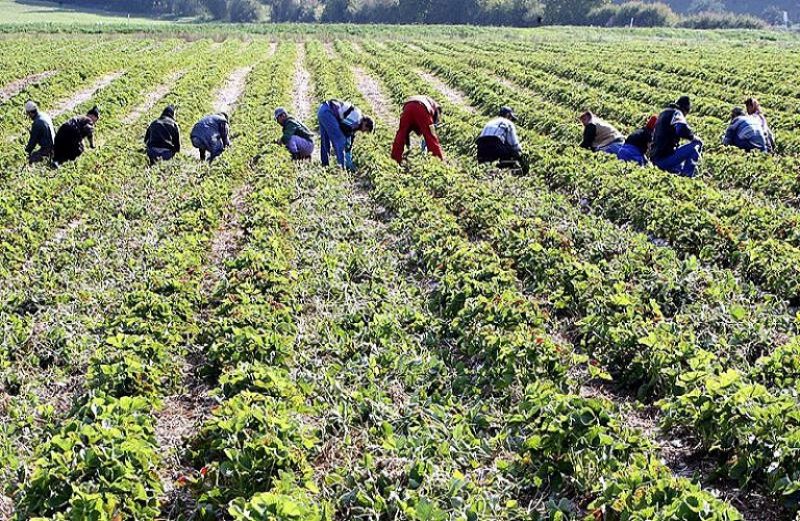Εισφορές ΕΦΚΑ: μέχρι τις 10 Απριλίου για έκπτωση 25%