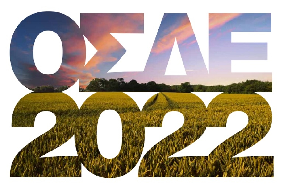 Γεωργαντάς σε Αραχωβίτη: Μην επενδύετε στην αποτυχία ΟΣΔΕ. Θα εκτεθείτε!