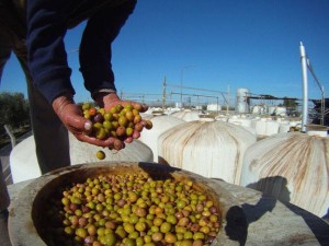 Αιτωλοακαρνανία: Ντόμινο ανατιμήσεων και αβεβαιότητας σε παραγωγικούς κλάδους λόγω πολέμου
