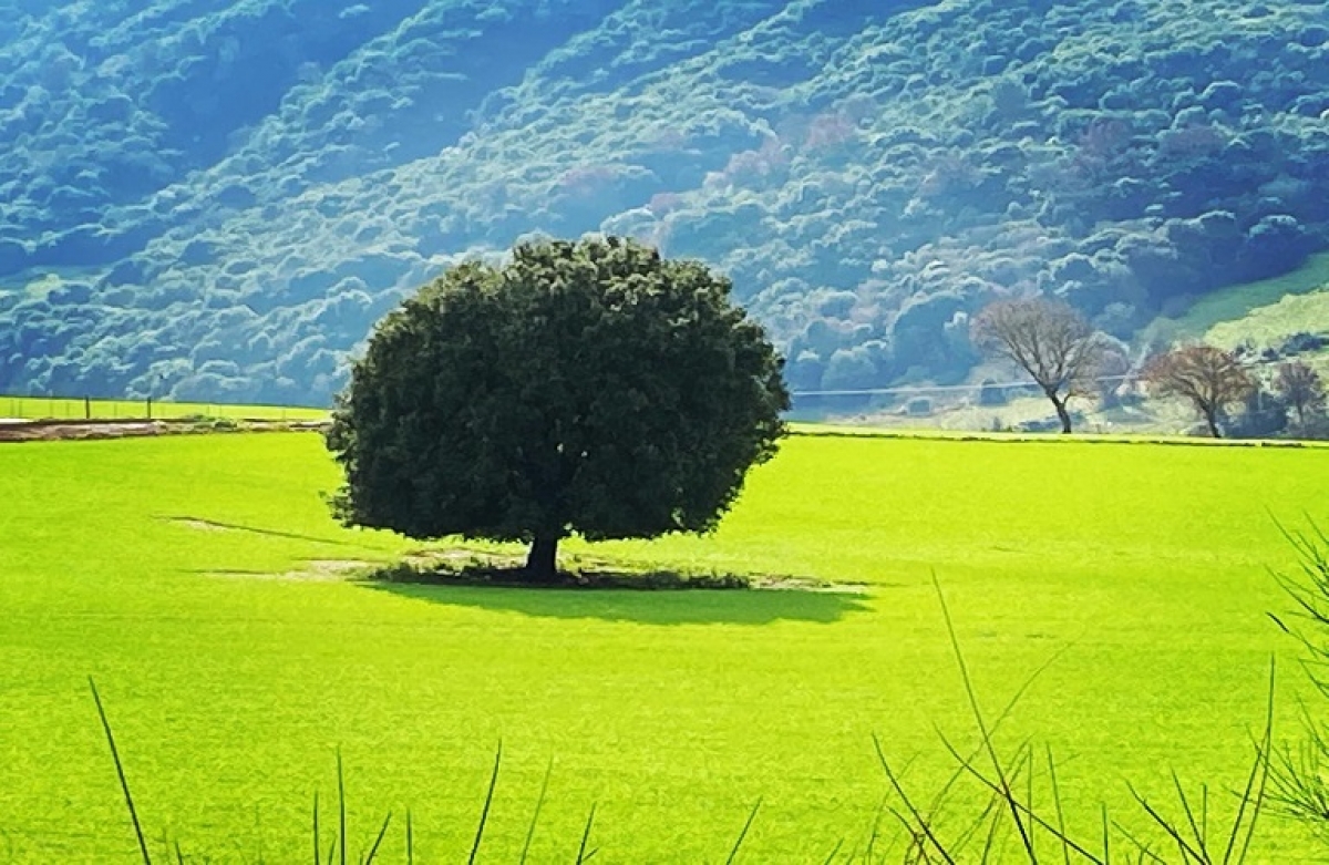 Πως τα οικολογικά συστήματα θα υποστηρίξουν τη νέα ΚΑΠ