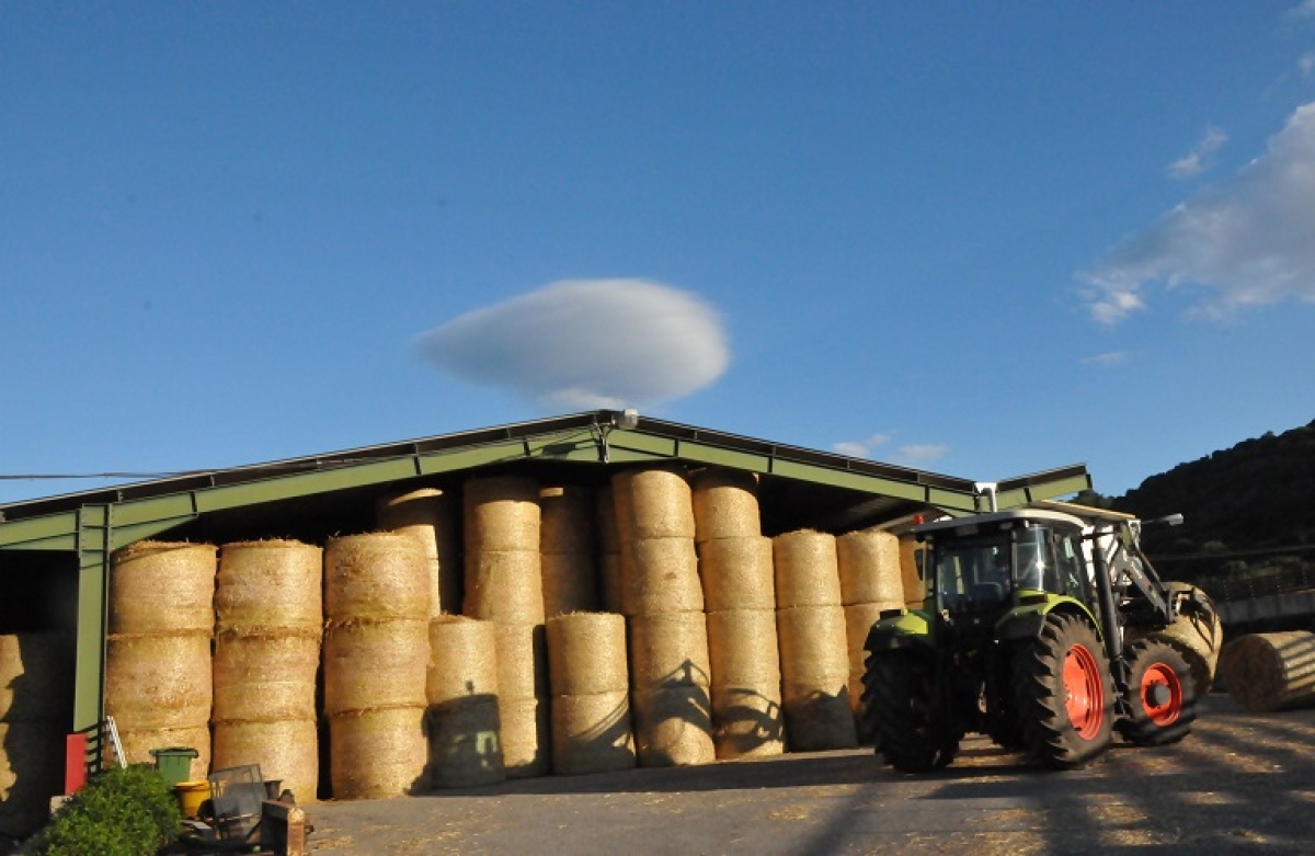 Σχέδια Βελτίωσης 2023 - 2027