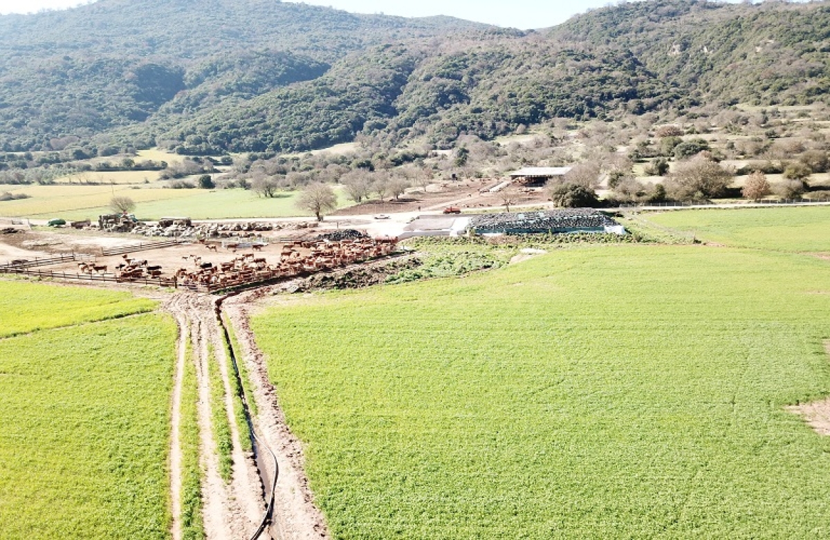 Η Αιτωλοακαρνανία πρωταγωνιστής στην ανάπτυξη της κτηνοτροφίας