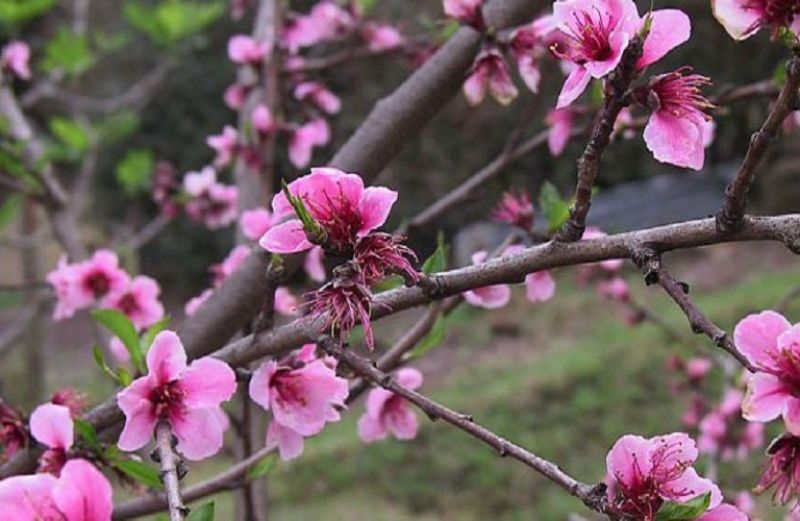 Κομφούζιο: η Πρόσκληση