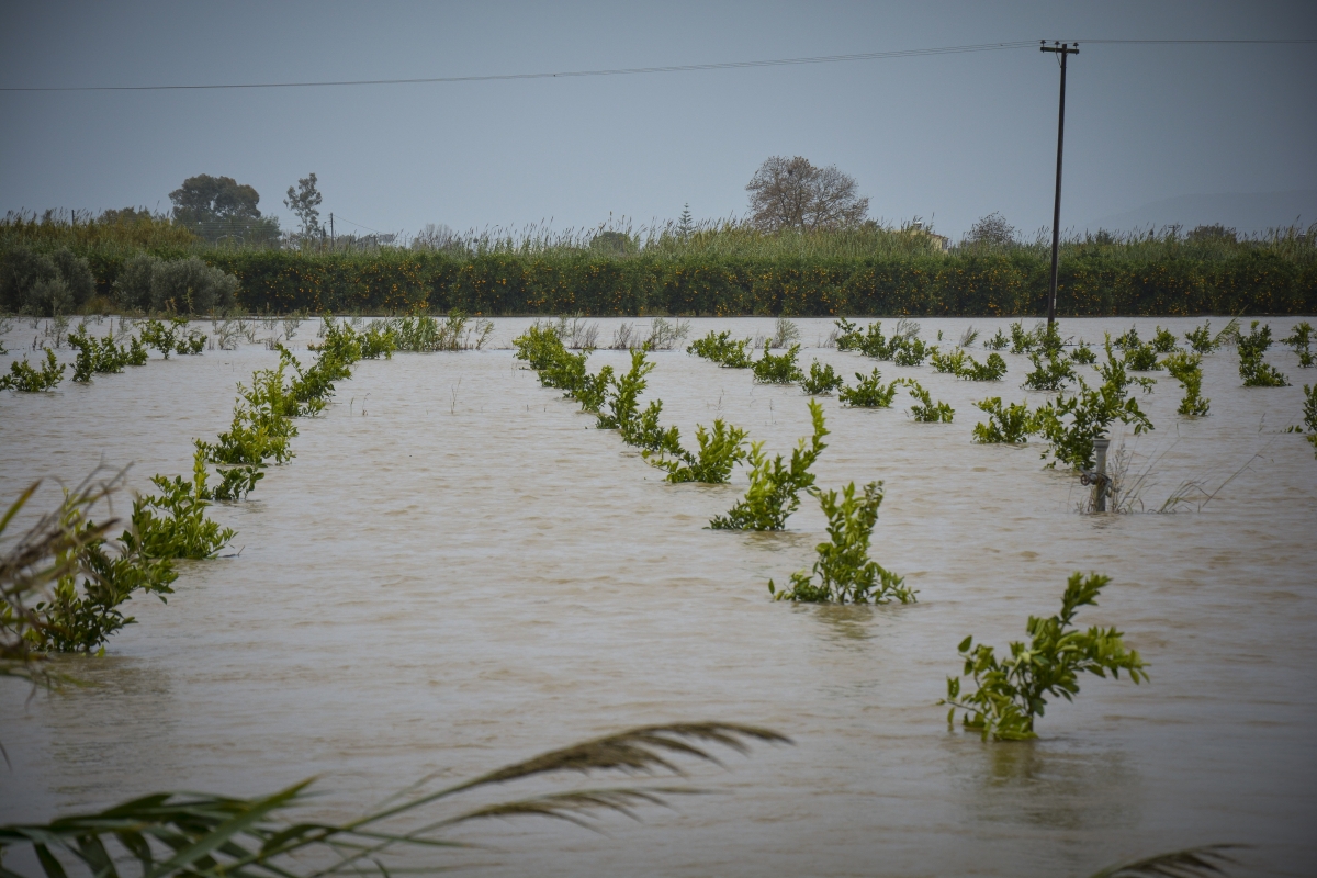Στους ανταποκριτές ΕΛΓΑ μέχρι και την Παρασκευή 29-01-2021 η υποβολή δηλώσεων ζημιών για τις καλλιέργειες