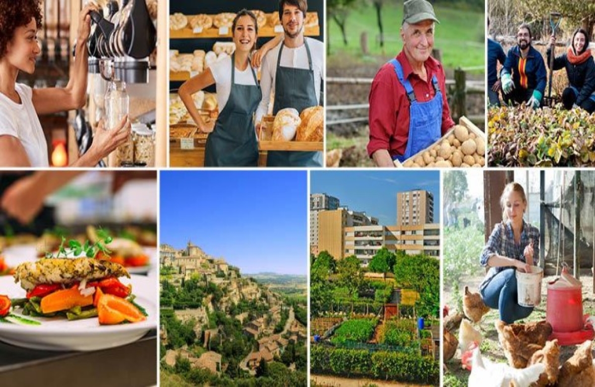 Άρχισε η υποβολή υποψηφιοτήτων για τα Ευρωπαϊκά Βραβεία Βιολογικής Γεωργίας