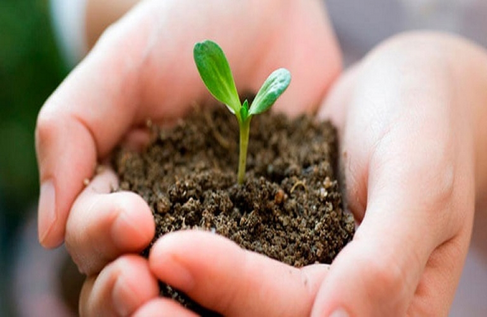 Βιοποικιλότητα εδάφους και ανθρώπινη ευημερία