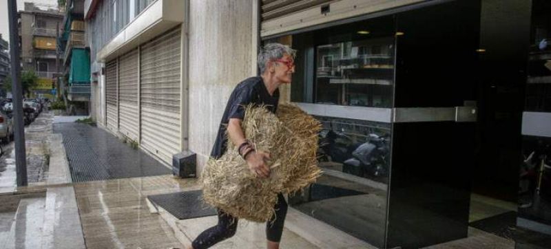 Η γνωστή ακτιβίστρια από το Μεσολόγγι πέταξε… σανό στα γραφεία των ΑΝΕΛ