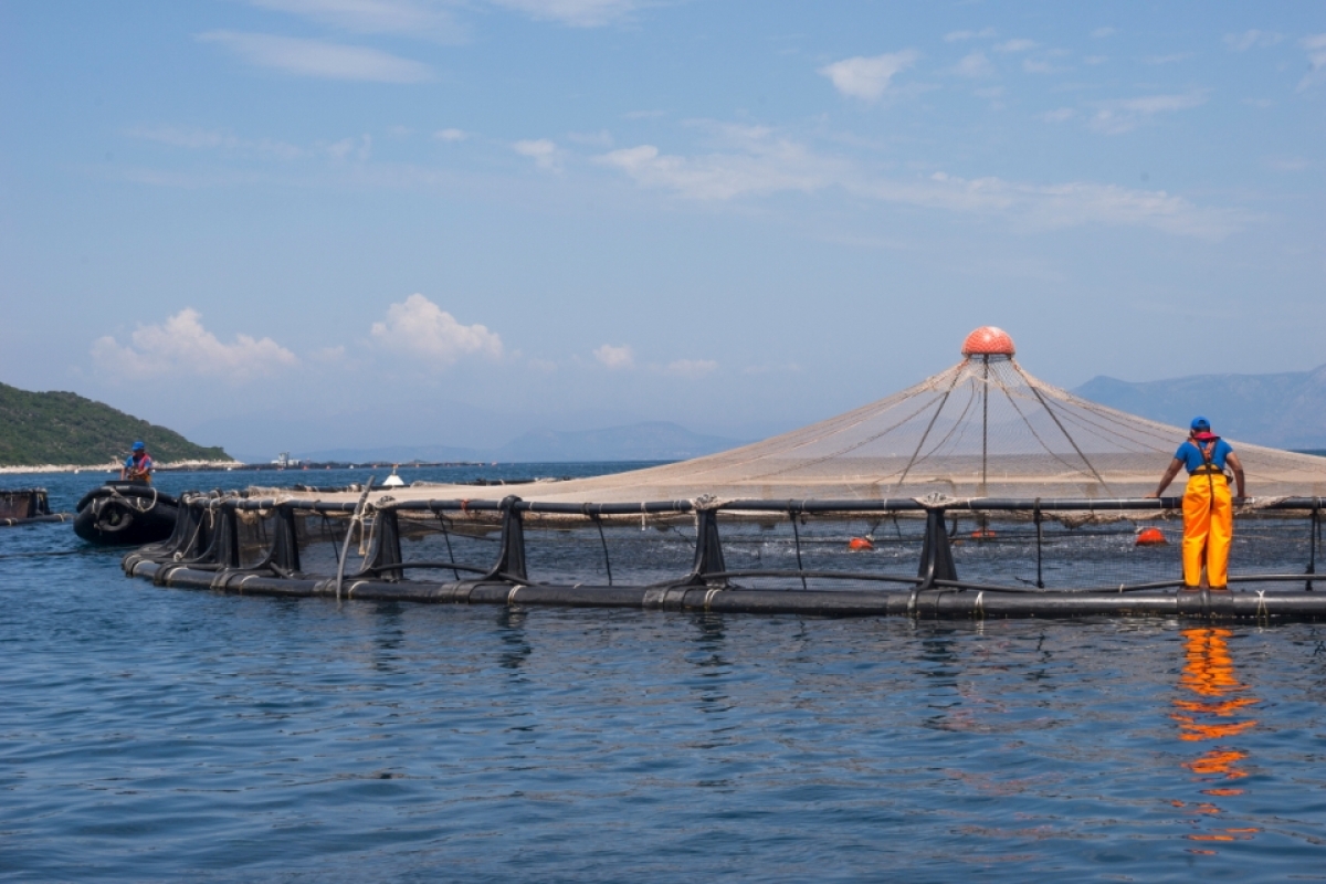 Ανακοίνωση ΕΛΟΠΥ - Μνημόνιο για απασχόληση μεταναστών