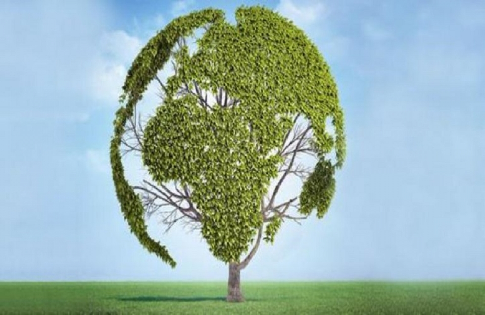 Αγρο-οικολογία: Συνδυασμός φύσης και γεωργίας