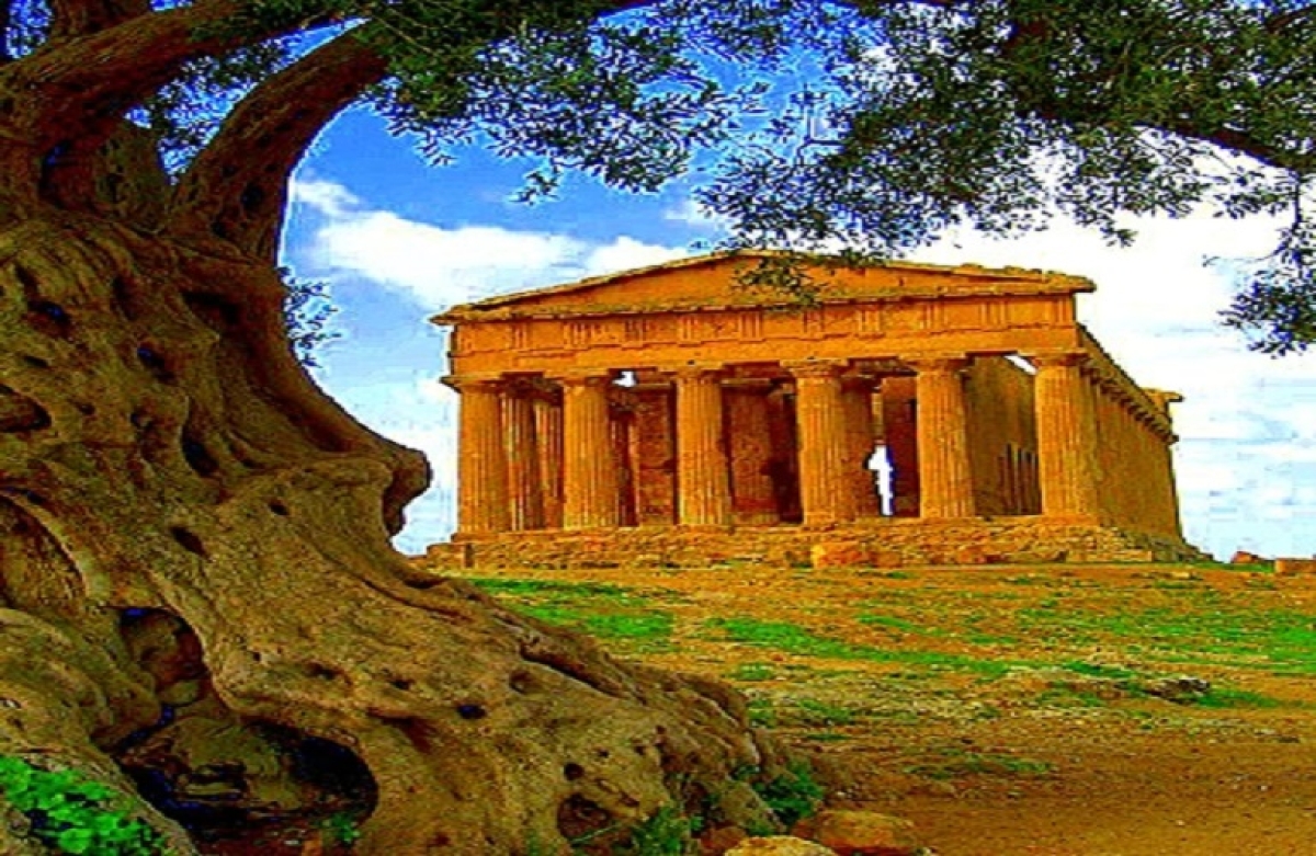 Ελιές: ο ευλογημένος καρπός των Ελλήνων από την αρχαιότητα