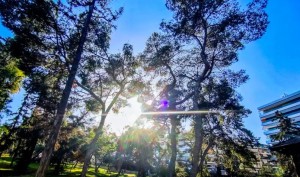 Καιρός: Με λιακάδα και λίγη συννεφιά σήμερα Παρασκευή και 13