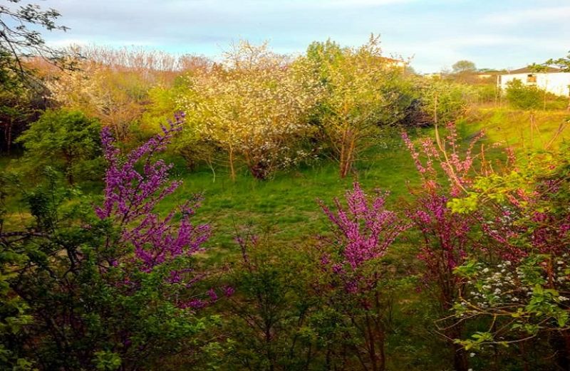 Η νέα σύνθεση της Επιτροπής «Φύση 2000»