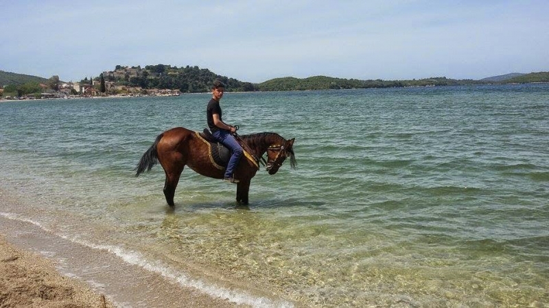 Πλήθος κόσμου στη γιορτή Αλόγου στη Βόνιτσα (φωτό)
