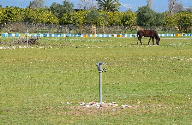 Εγγύηση μέσω ΟΣΔΕ, για τις οφειλές στη ΔΕΗ
