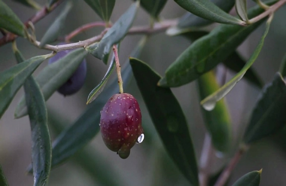 Μέτρο 21: Ο οριστικός πίνακας αποτελεσμάτων
