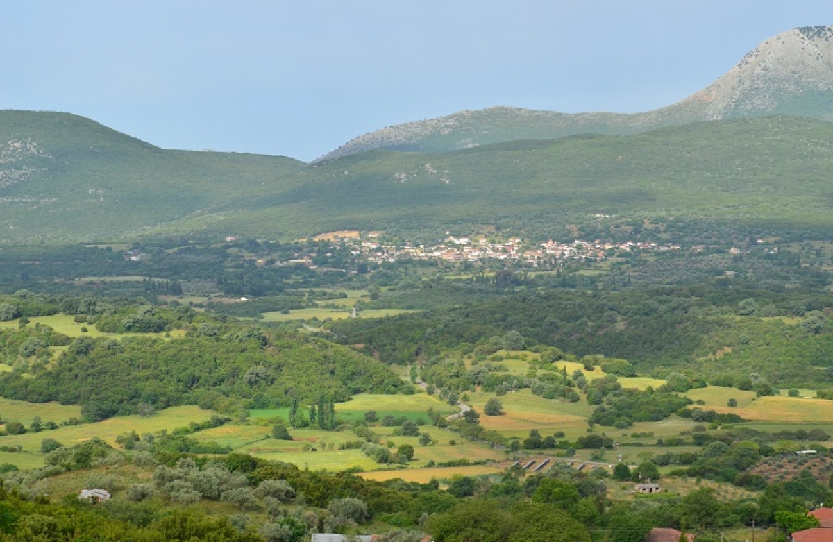 Ευρωπαϊκή πρωτοβουλία για τη διαμόρφωση μακροπρόθεσμου οράματος για τις Αγροτικές Περιοχές με ορίζοντα το 2040: Η συνεισφορά του Ελληνικού Εθνικού Αγροτικού Δικτύου