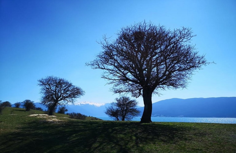 «Στήριξη για νέες συμμετοχές σε συστήματα ποιότητας» - η Πρόσκληση