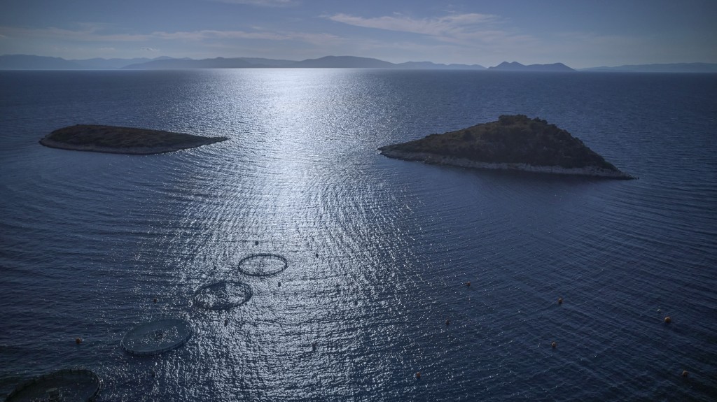 ΕΛΟΠΥ - Φρέσκα ελληνικά ψάρια εκτροφής τώρα και στο Κοινωνικό Παντοπωλείο Σαλαμίνας