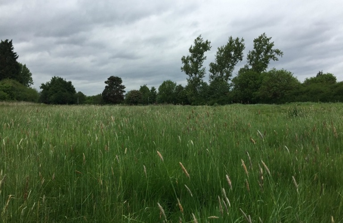 Οι αγροτικές αγορές επηρεάζονται από τη ρωσική εισβολή