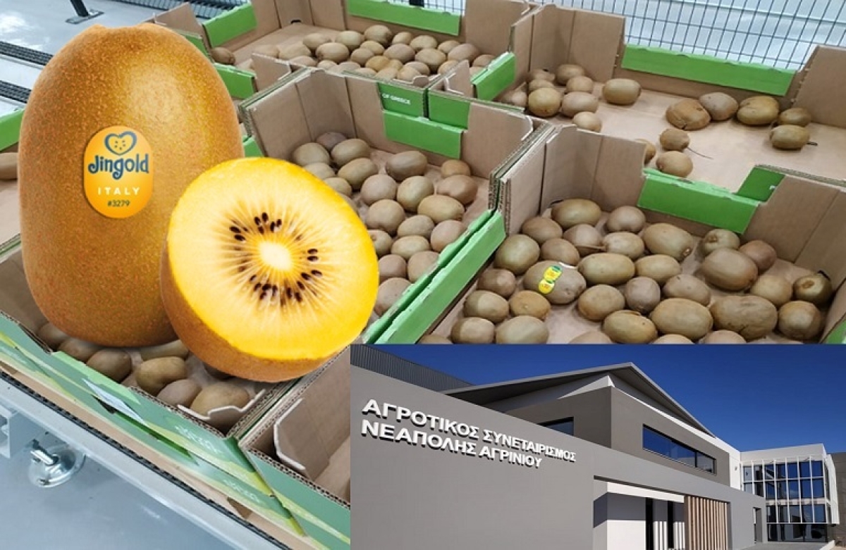 Πρωτοποριακή συνεργασία για νέα καλλιέργεια από τον Α. Σ. Νεάπολης