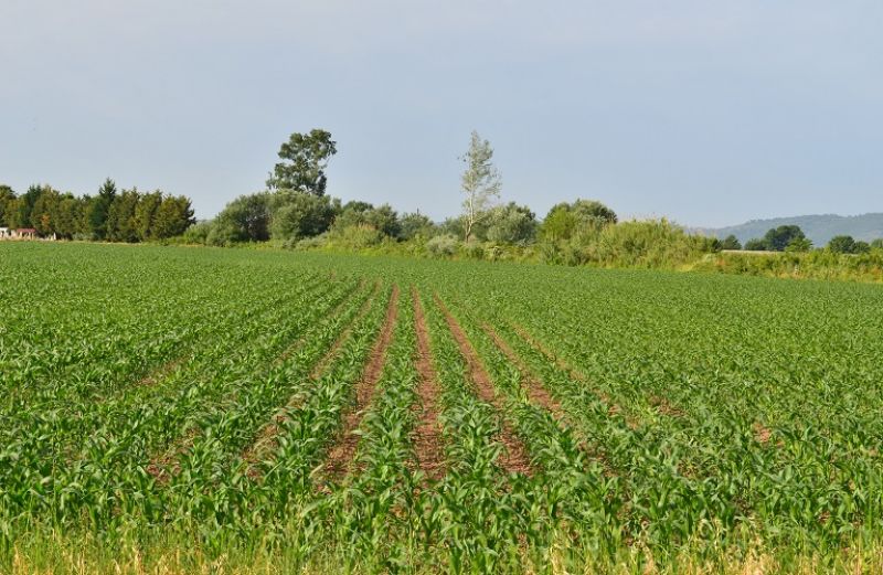 Πληρωμή 1,27 εκατ. ευρώ σε 306 δικαιούχους