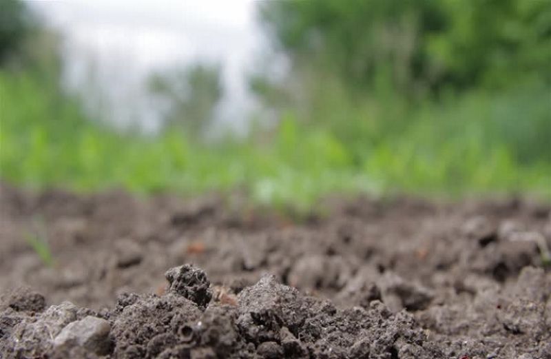 ΚΑΠ και φυσικοί πόροι - Δημόσια Διαβούλευση
